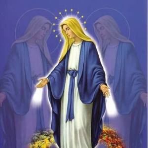 Meet your Posher, Sofia